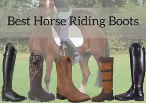 Best Horse Riding Boots
