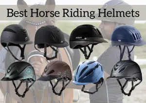 Best Horse Riding Helmets