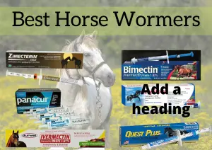 Best Horse Wormers