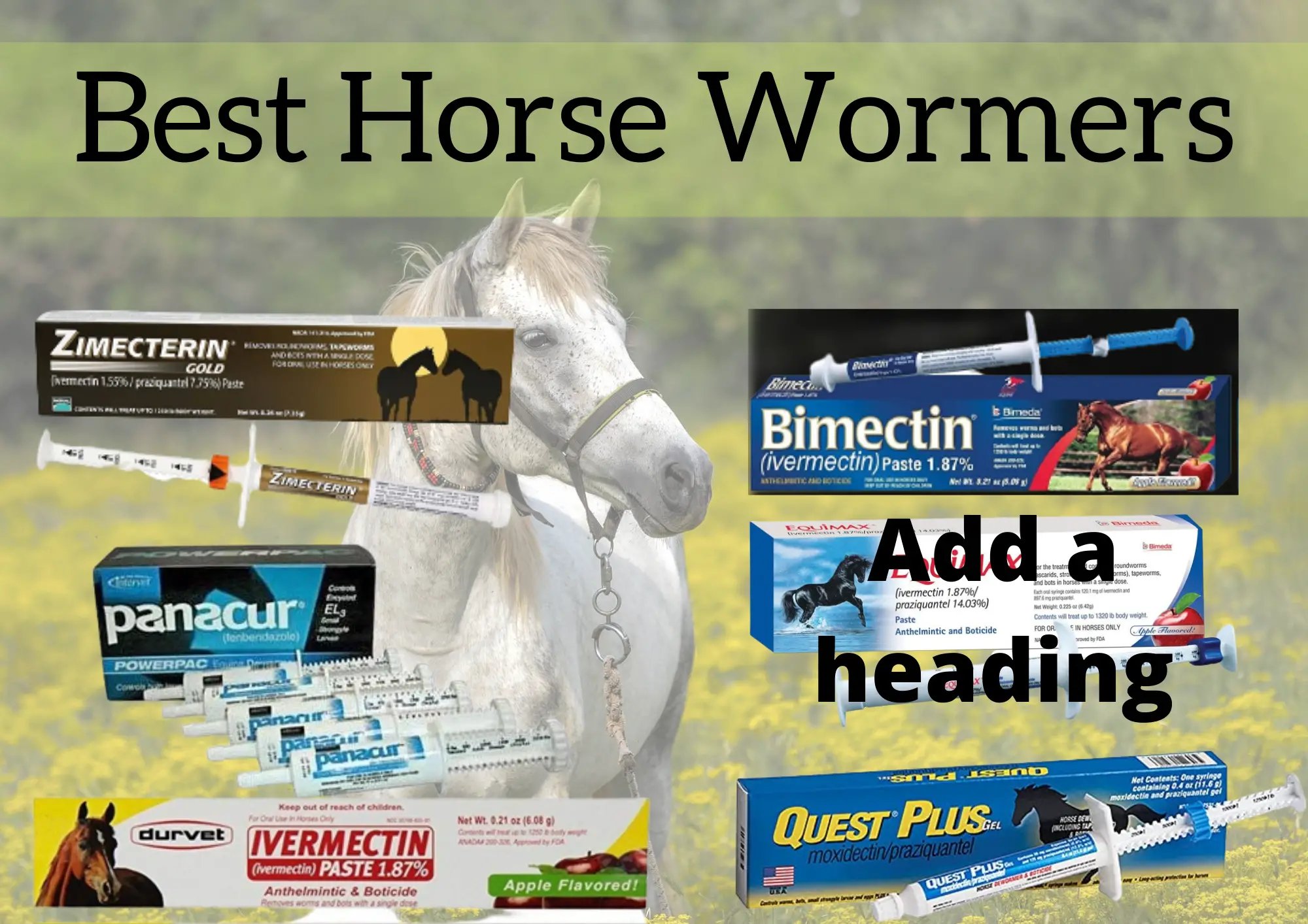 Best Horse Wormers