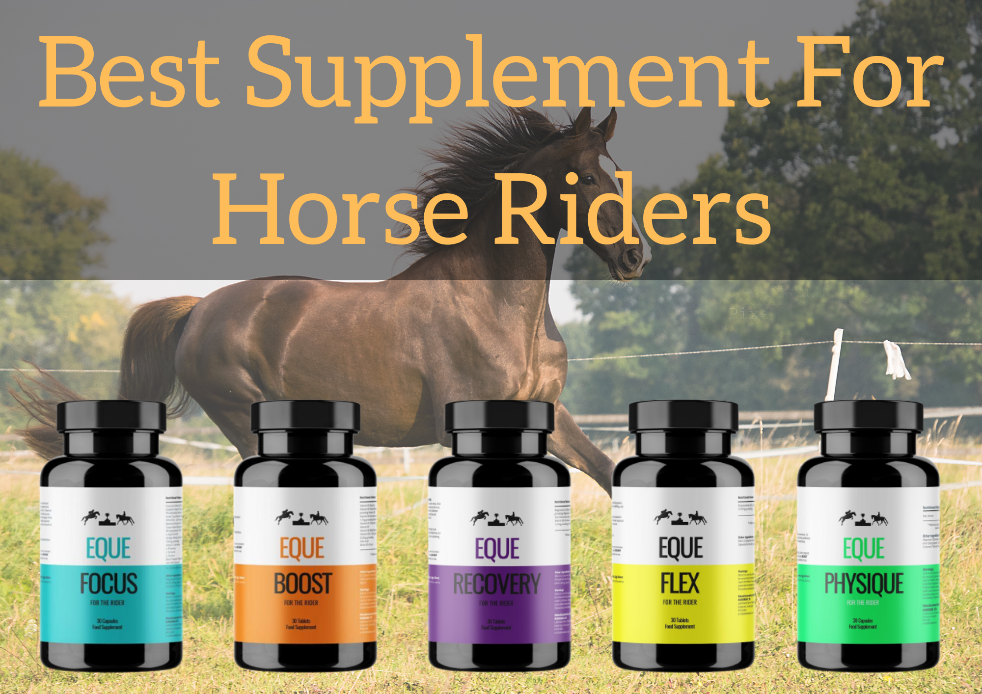 Best Supplement For Horse Riders