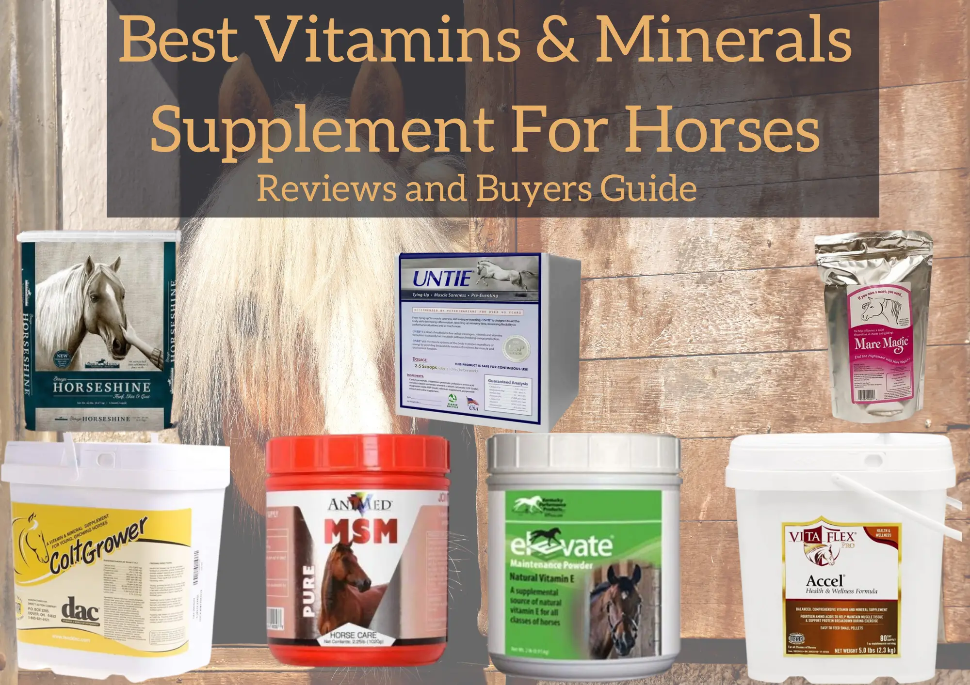 Best Vitamins & Minerals Supplement For Horses