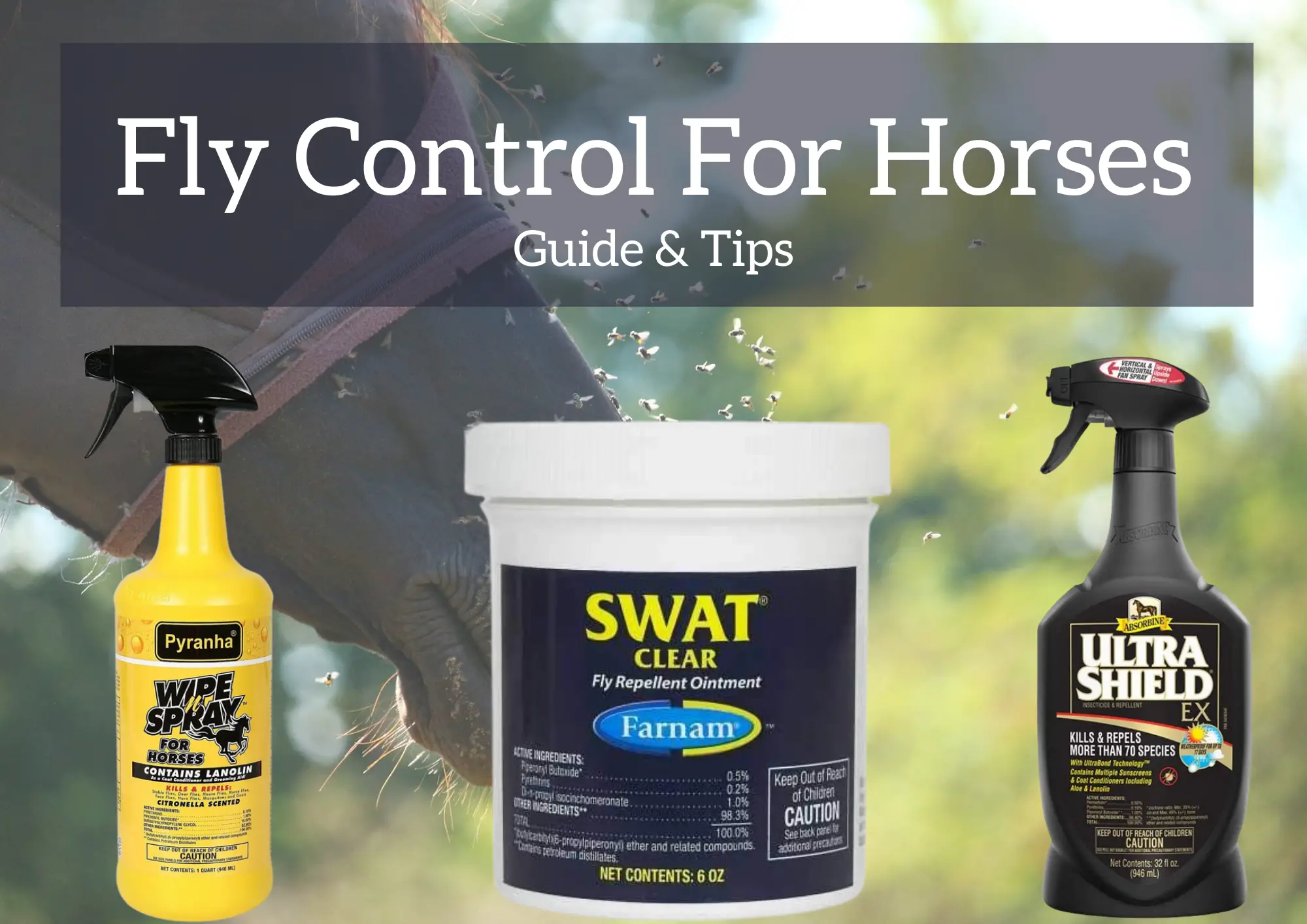 Fly Control For Horses