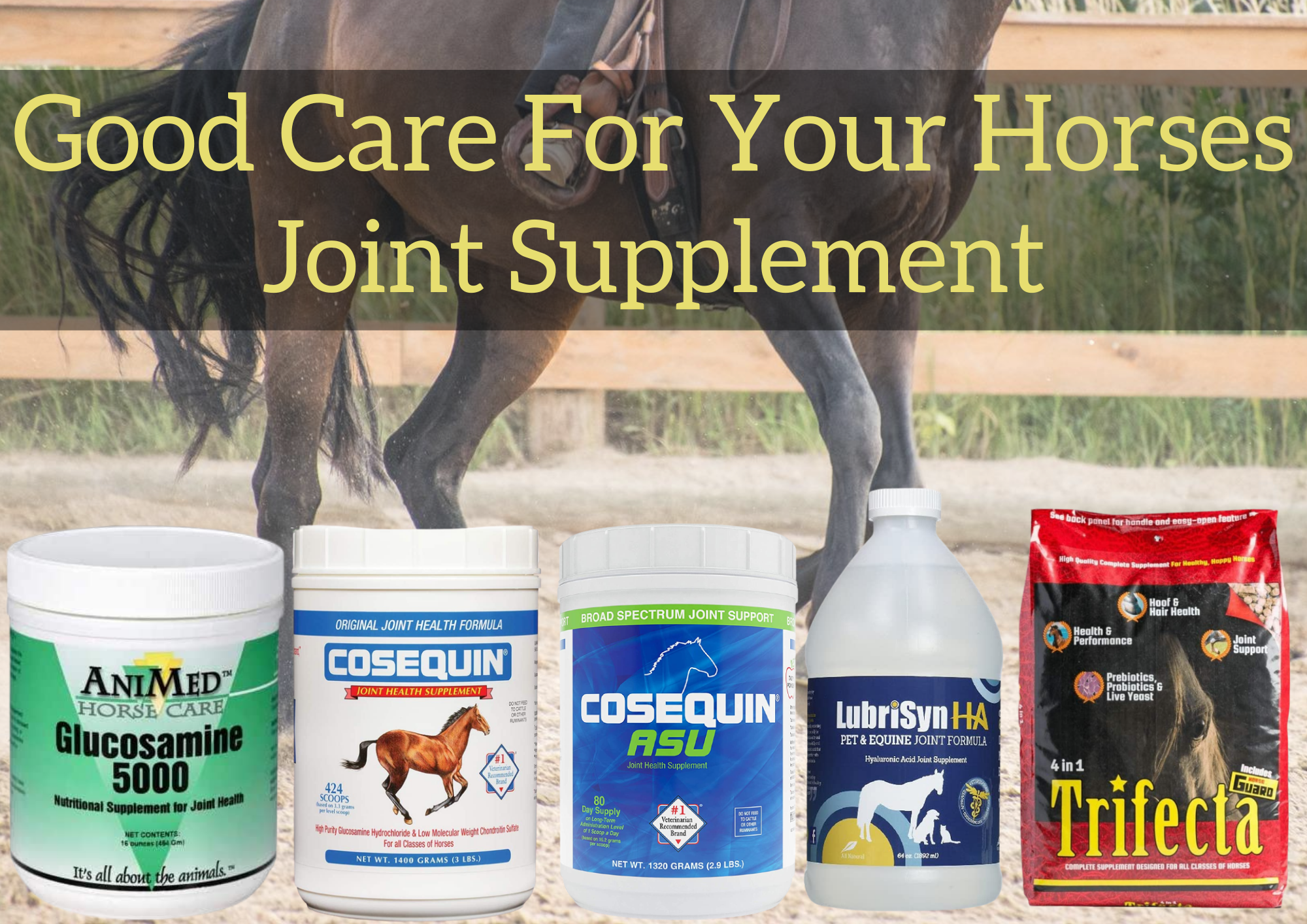 Horses Joint Supplement