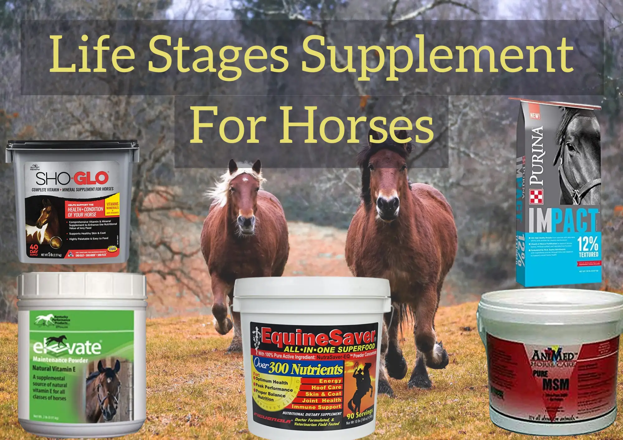 Life Stages Supplement For Horses