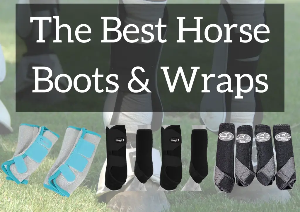 The Best Horse Boots Wraps