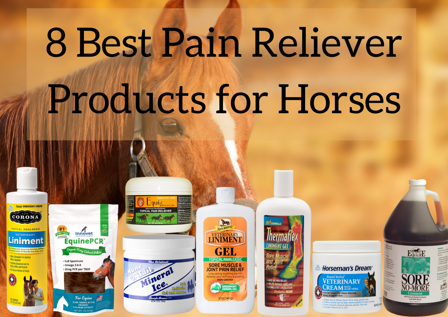 8-best-pain-reliever-products-for-horses-just-for-my-horse