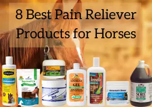 Best Pain Reliever Products for Horses