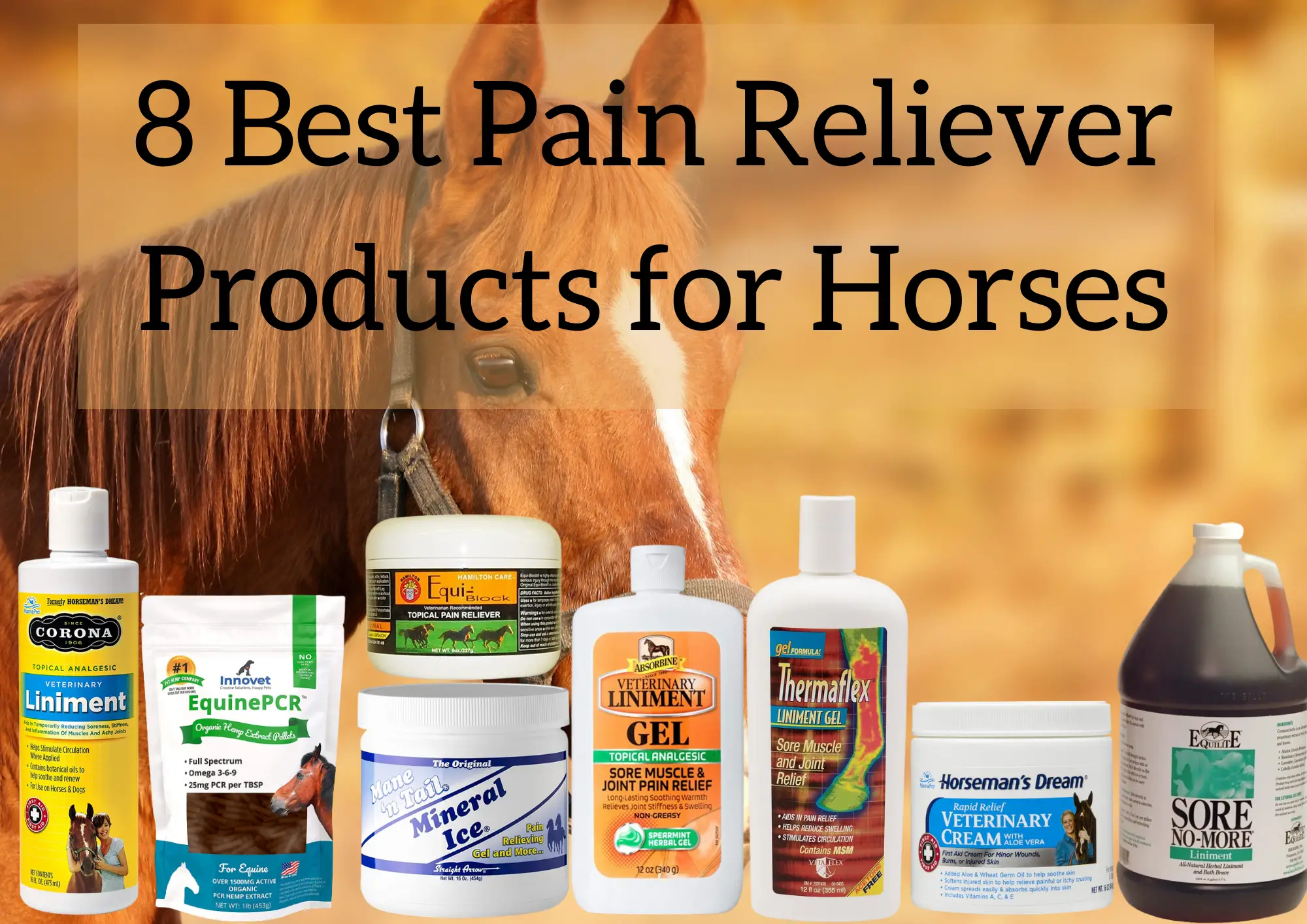 Best Pain Reliever Products for Horses