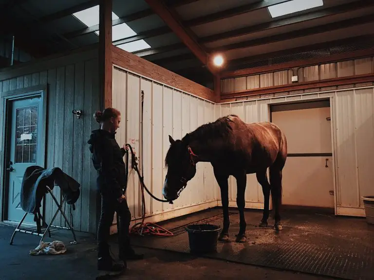Minerals Horses Get from Forages
