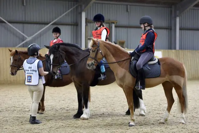 8 Beginner Riding Lessons You Should Never Un Learn