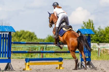 Riding Exercises to Correct Common Leg, Seat and Hand