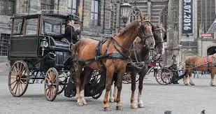 How Fast & Far Can A Horse Drawn Carriage Travel