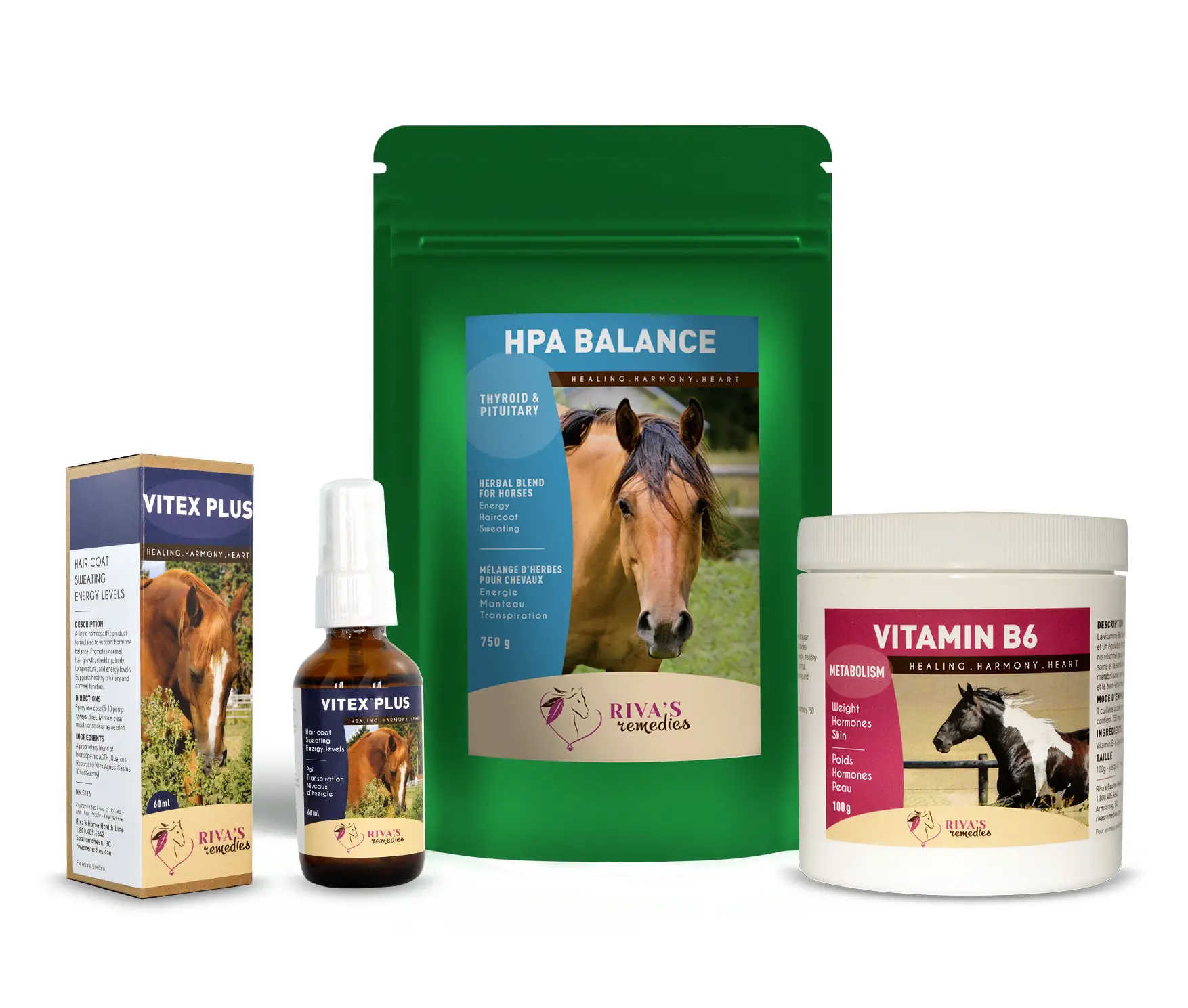 Vitamins And Minerals Guide For Horses