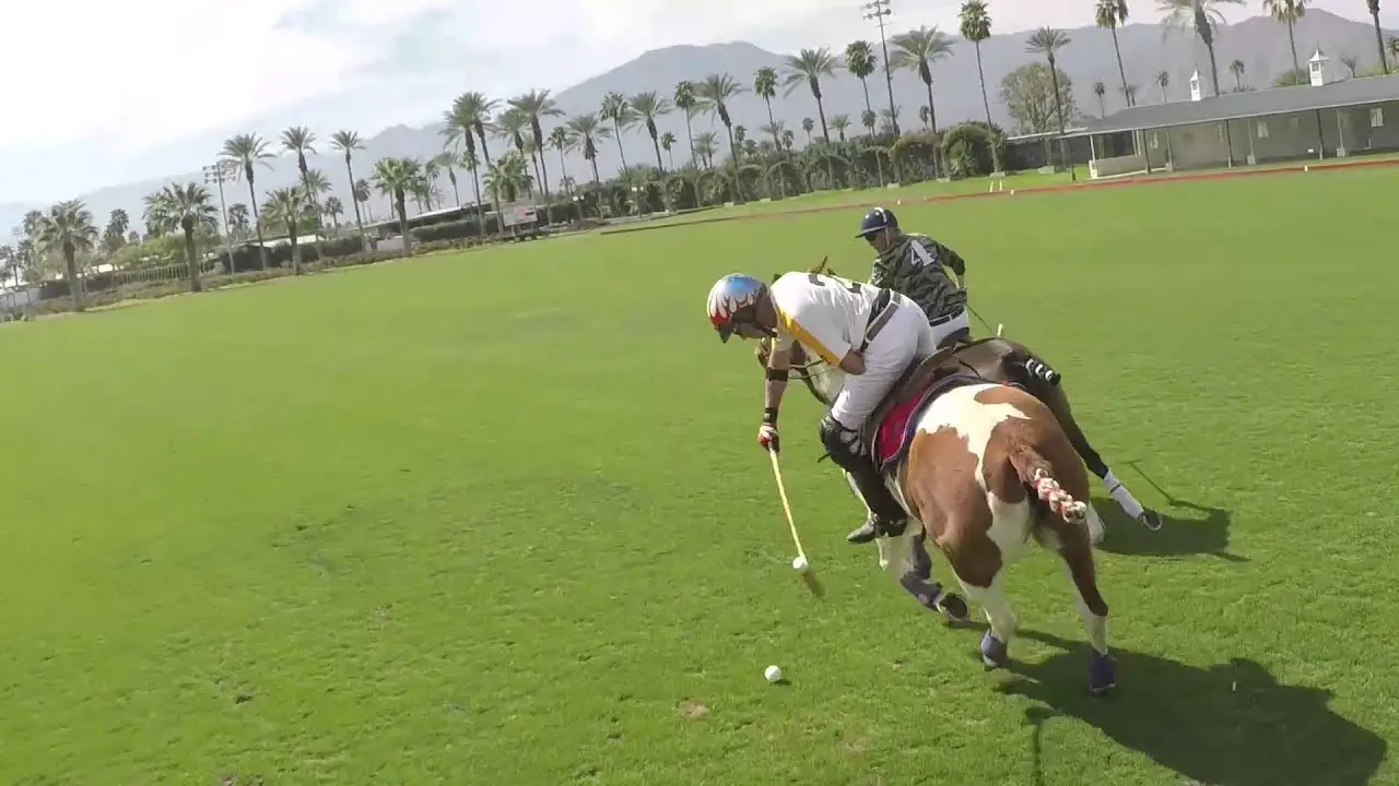 What You Need To Know About Polo, The ‘gentleman’s Sport’