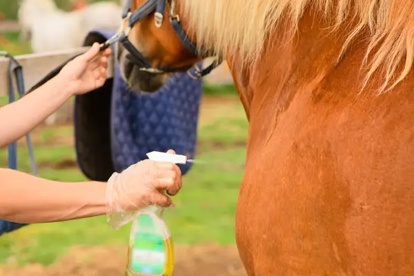 Homemade Fly Spray for Horses