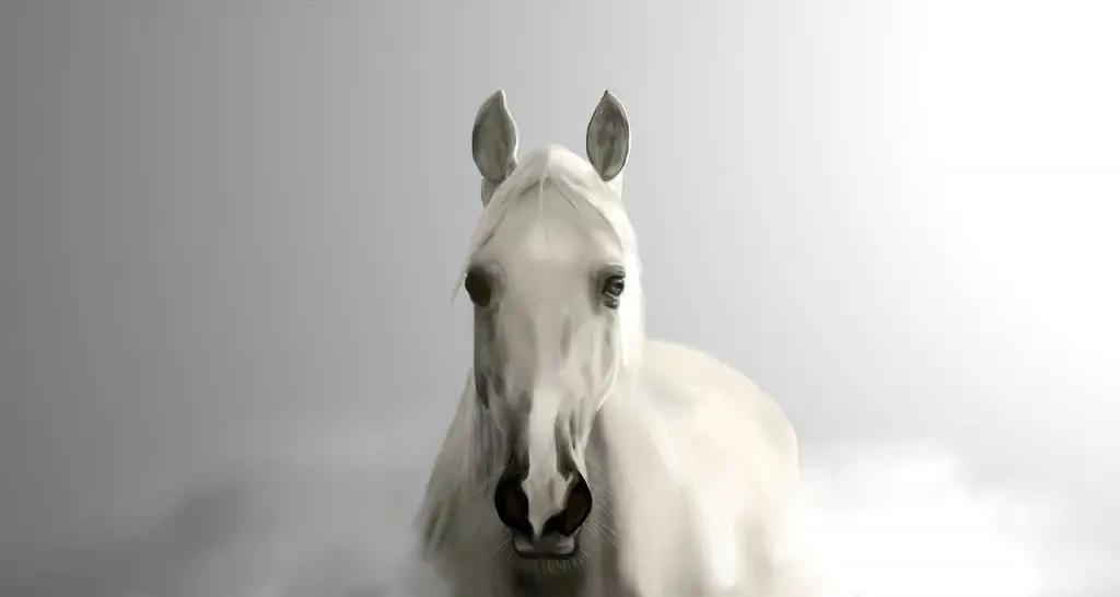 What Do Horses Symbolize Spiritually in Dreams and the Bible?