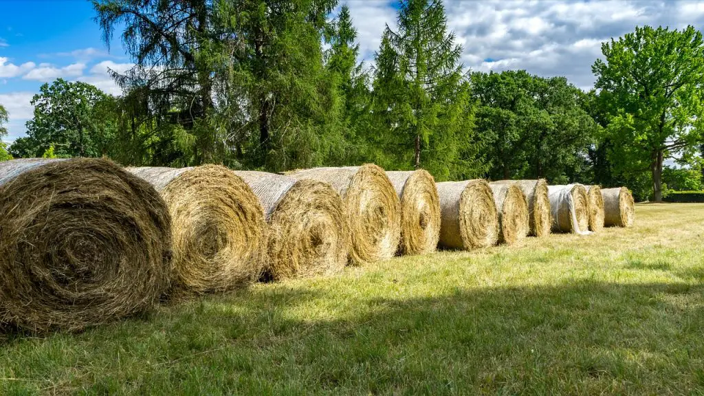 How Much Does a Round Hay Bale Weigh