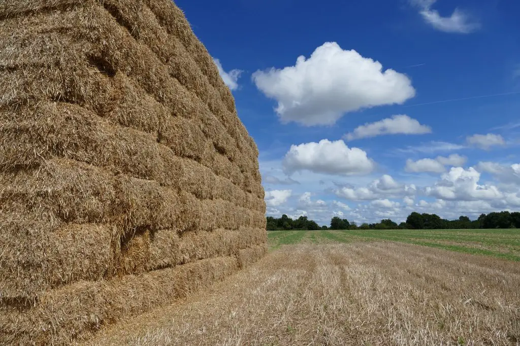 Rules For Proper Hay Storage