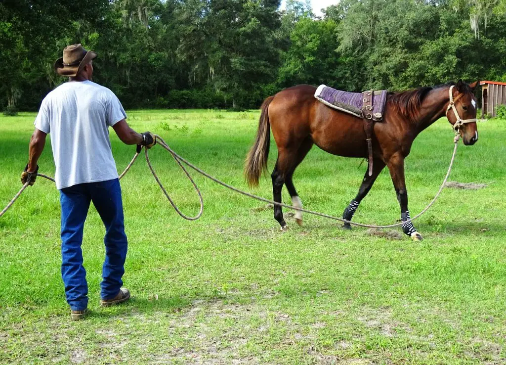 What Does It Mean To Break A Horse?