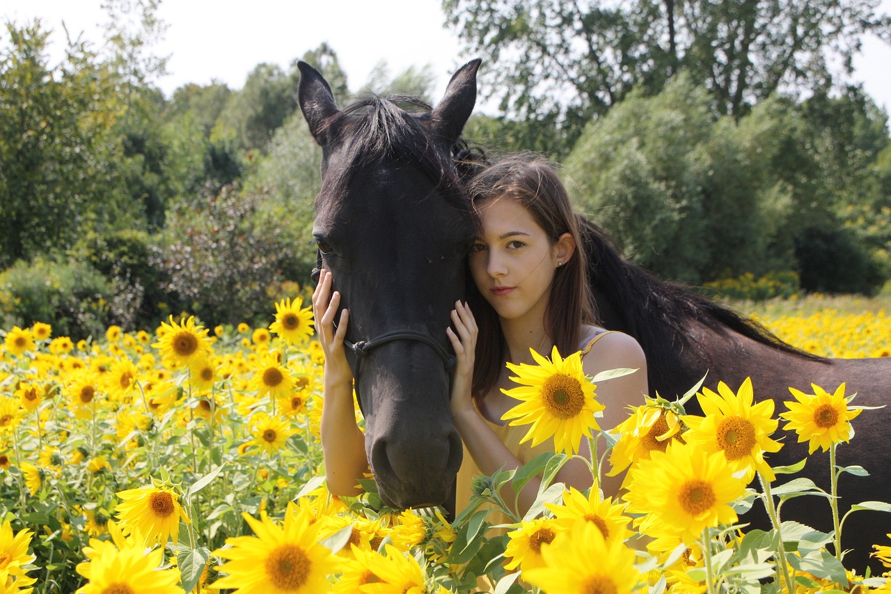 Sunflower Seeds for Horses