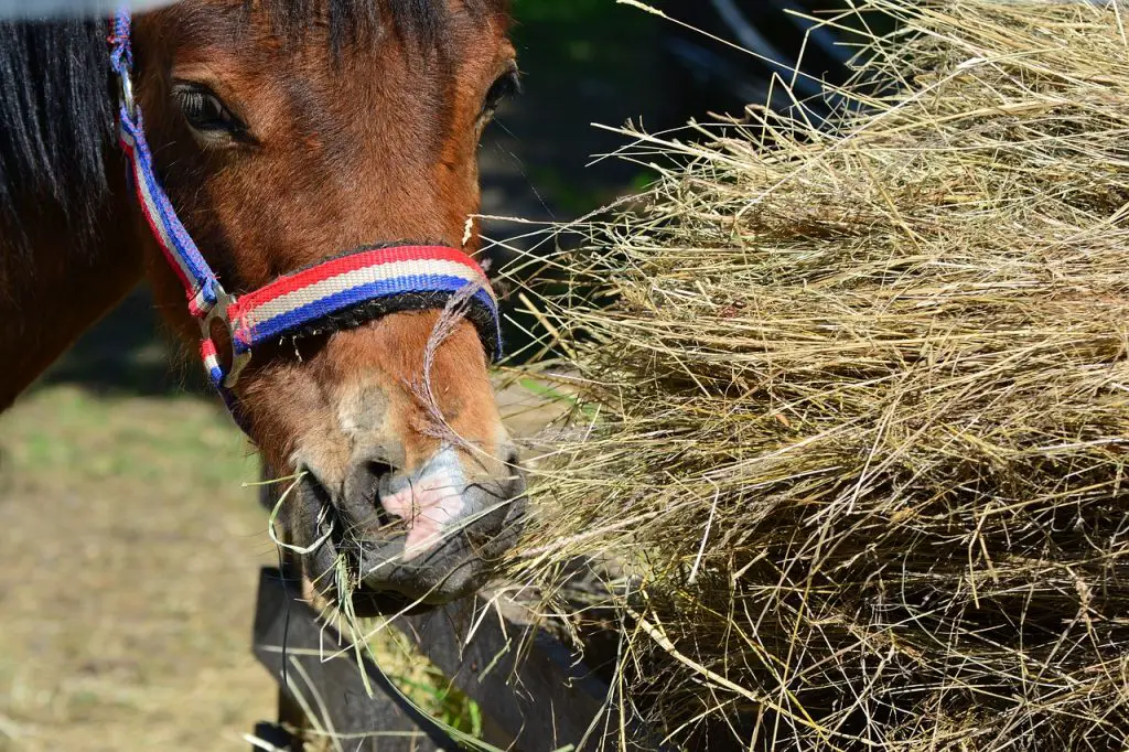 What is a Flake of Hay