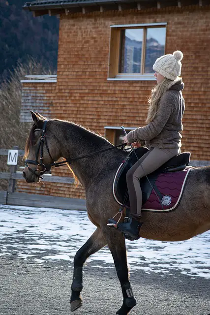 Right Way’ to Fall Off a Horse