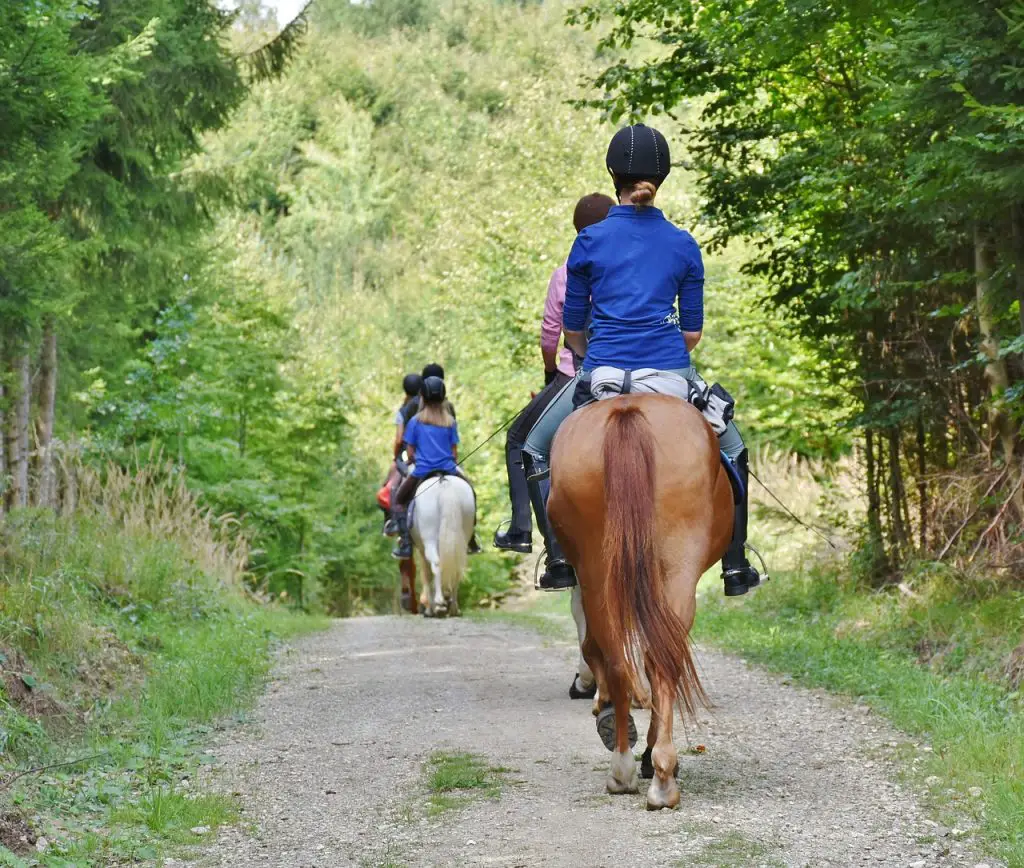 Biomechanics of Riding Bareback