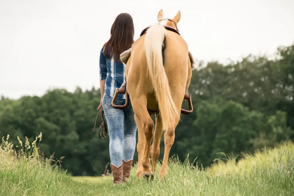 Ways to Improve Your Western Riding