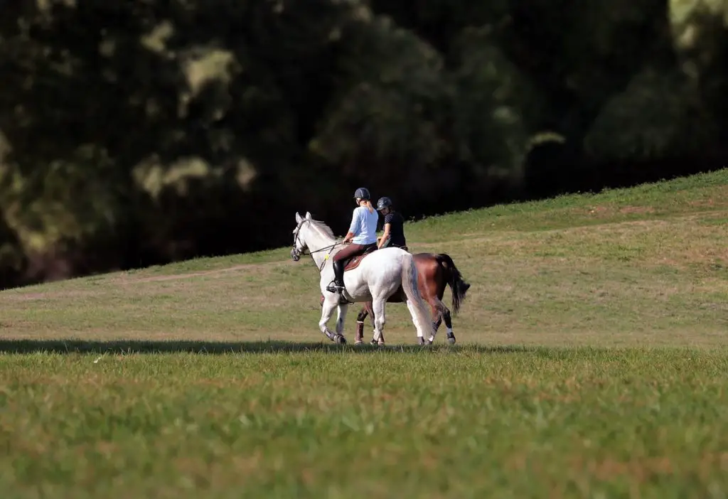 First-Time Riders