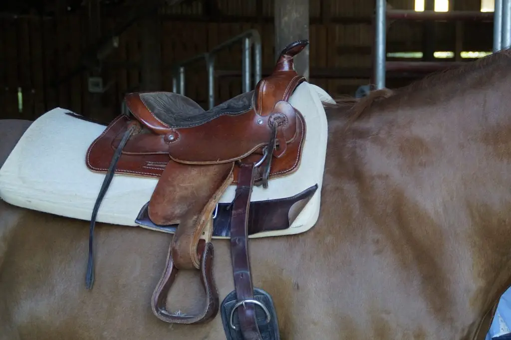 How to Mount & Dismount a Horse Safely
