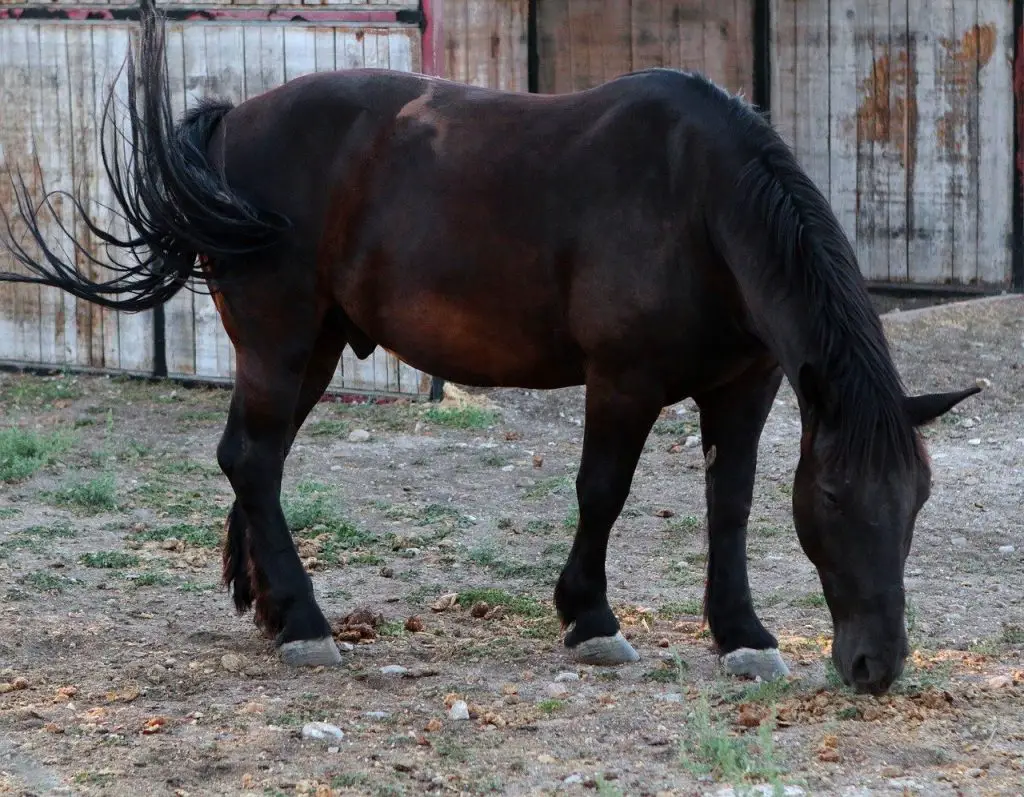 Sheath cleaning