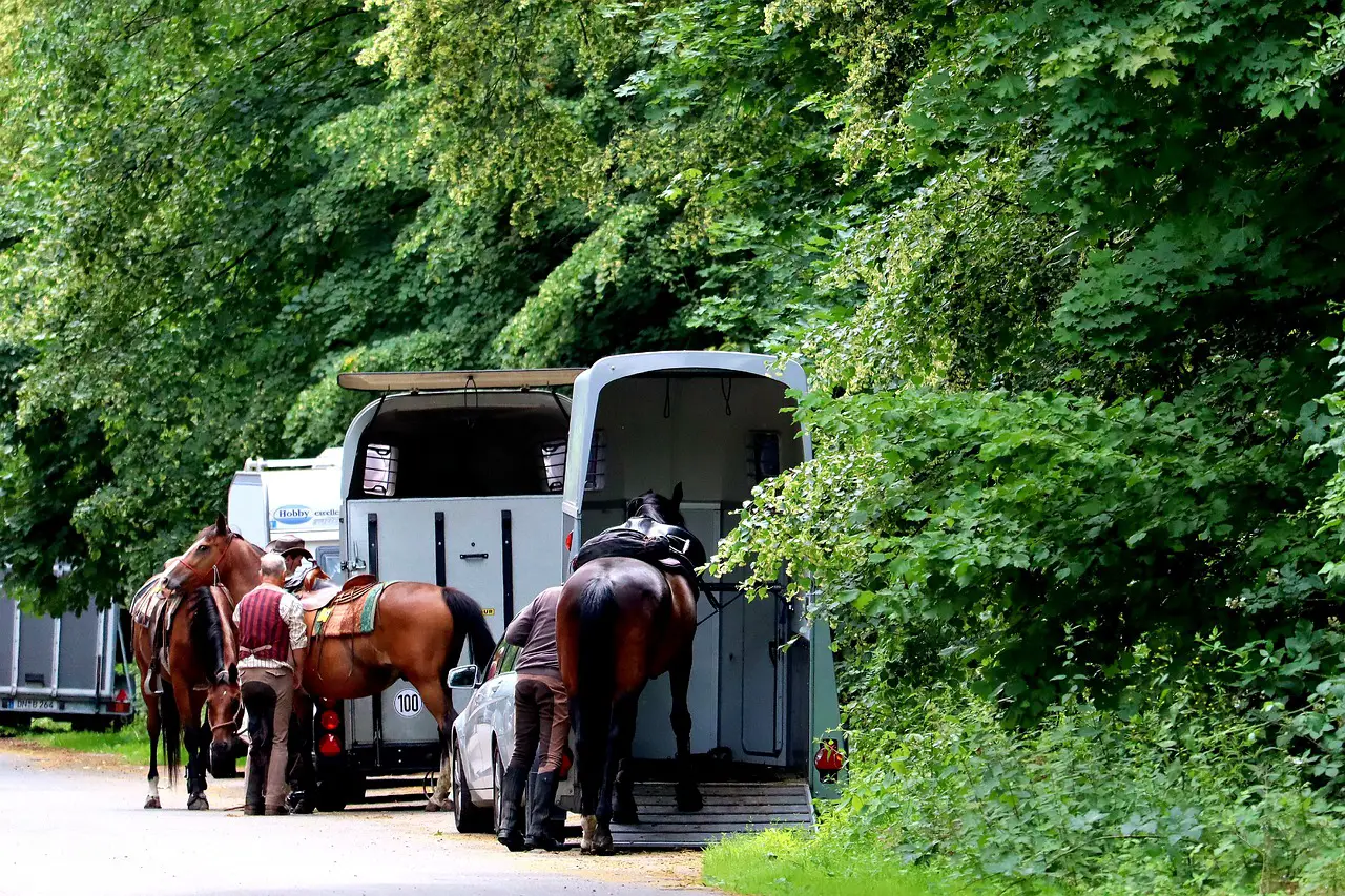 Tips for Horse Trailering