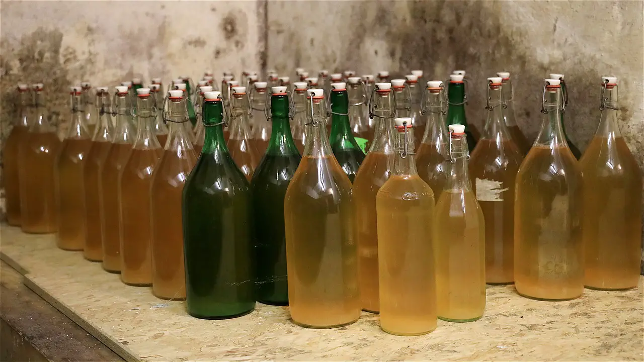 Apple Cider Vinegar for Horses