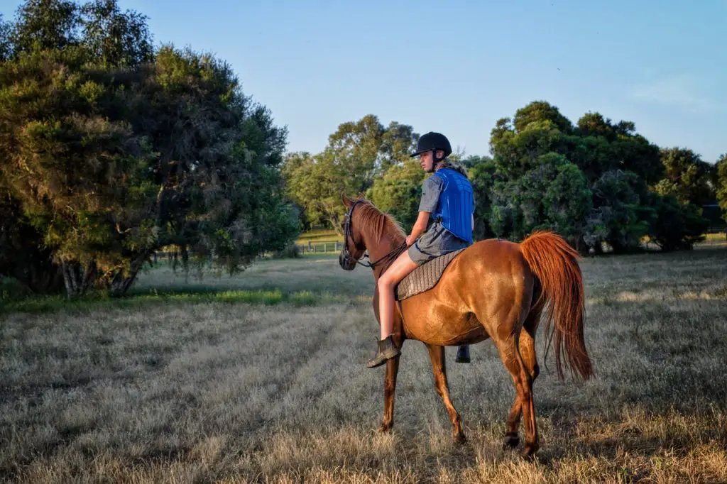 Shorts Horseback Riding