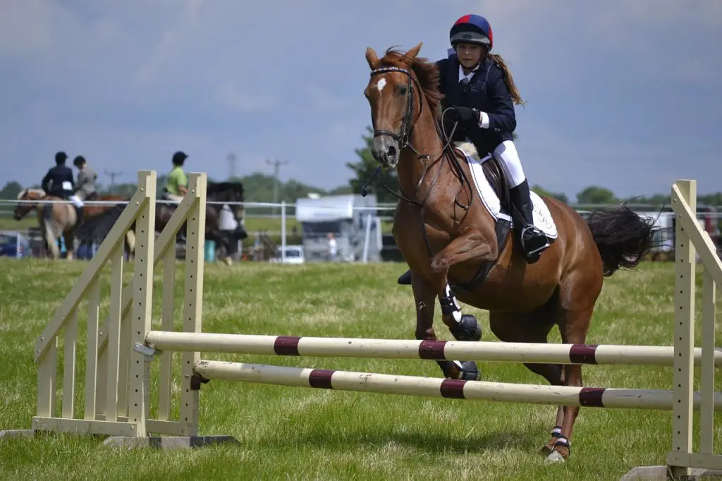 JUMPING BOUNCE FENCES