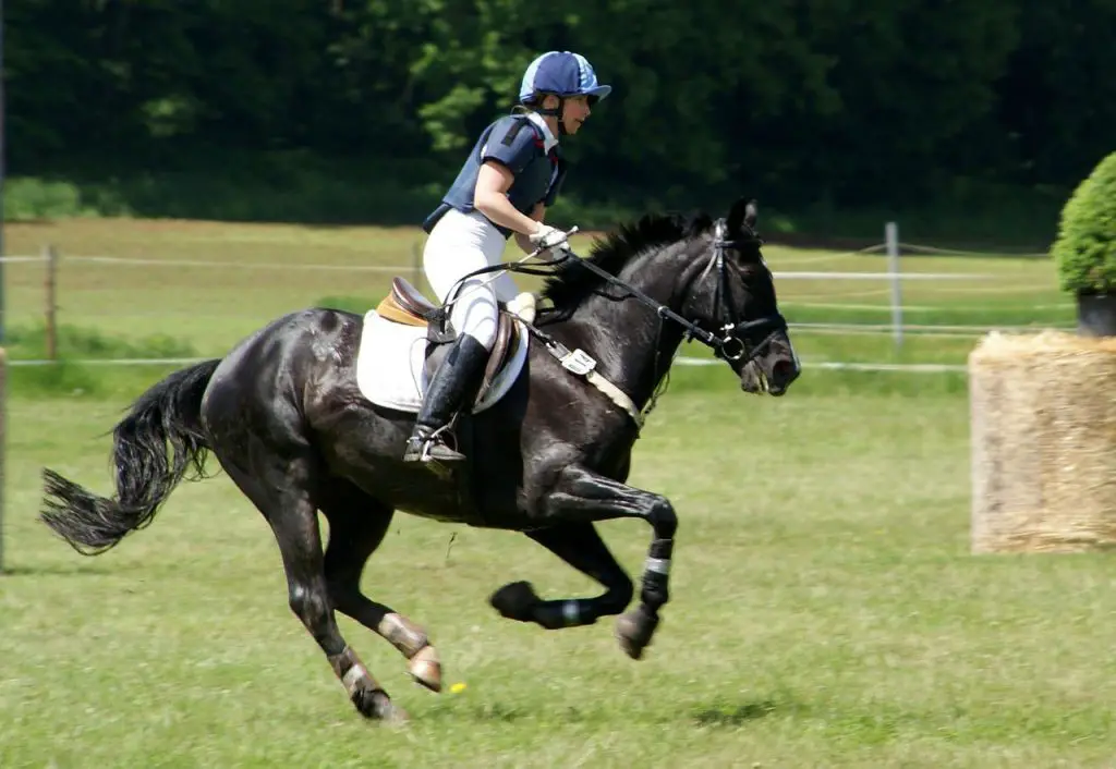 DENTIFY AN ILL-FITTING SADDLE