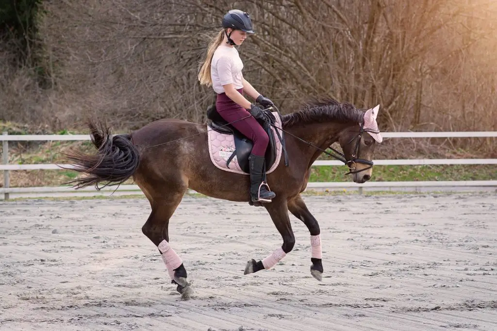 Horses Bolting