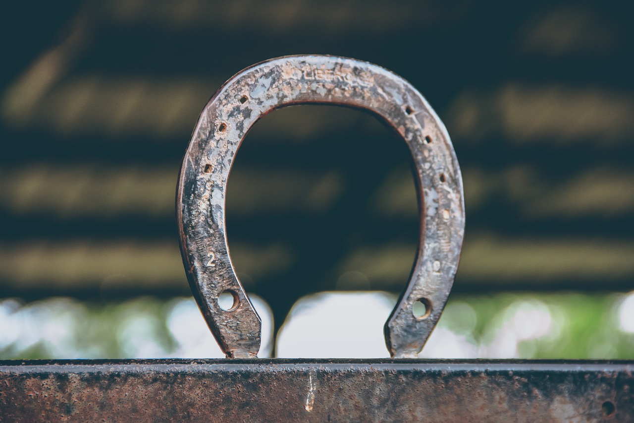 Clean Preserve Your Horse’s Rusty Horseshoe