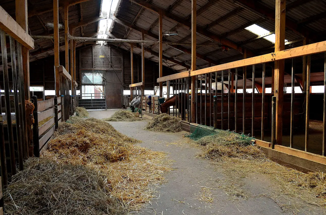 Deterioration of Horse Stall Mats