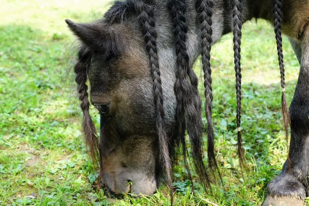 TIPS FOR BRAIDING 