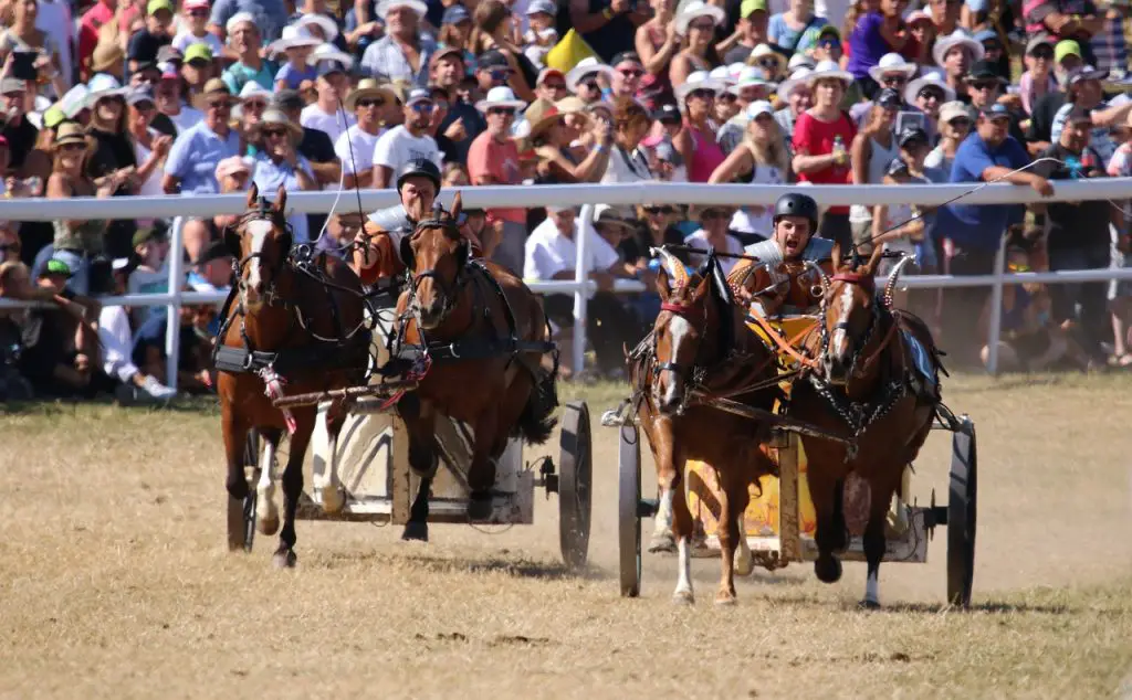 Carriage Driving