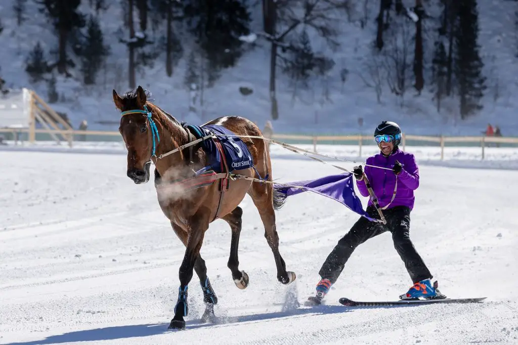 Horse Skijoring