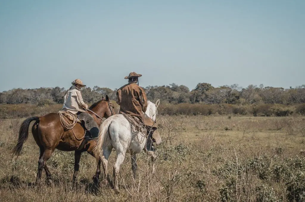 Vaqueros Cowboys and Buckaroos